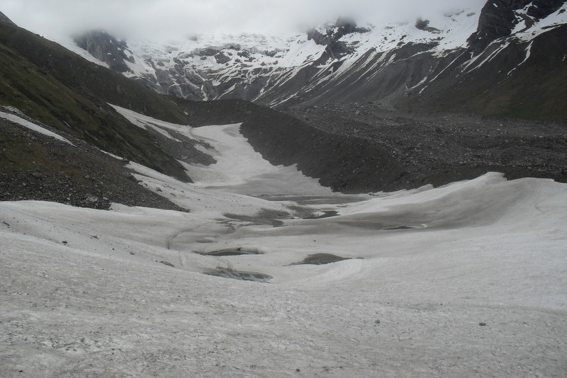 अपिहिमालमा यार्सागुम्बा सङ्कलक बेपत्ता