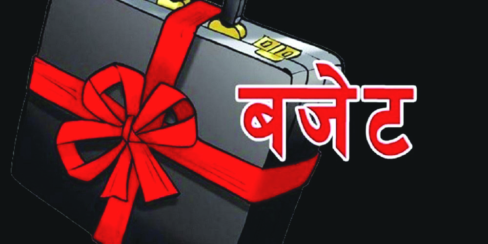 संसद् पुर्नस्थापना अदालत गएका बेला बजेट ल्याउने विषय विवादमा तानियो