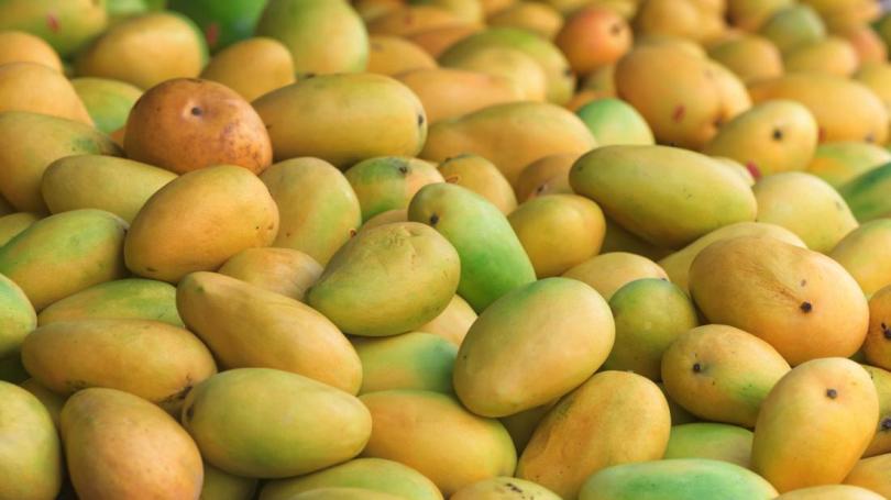 सर्लाहीका बजारमा विषादीयुक्त आँप छयाप्छयाप्ती
