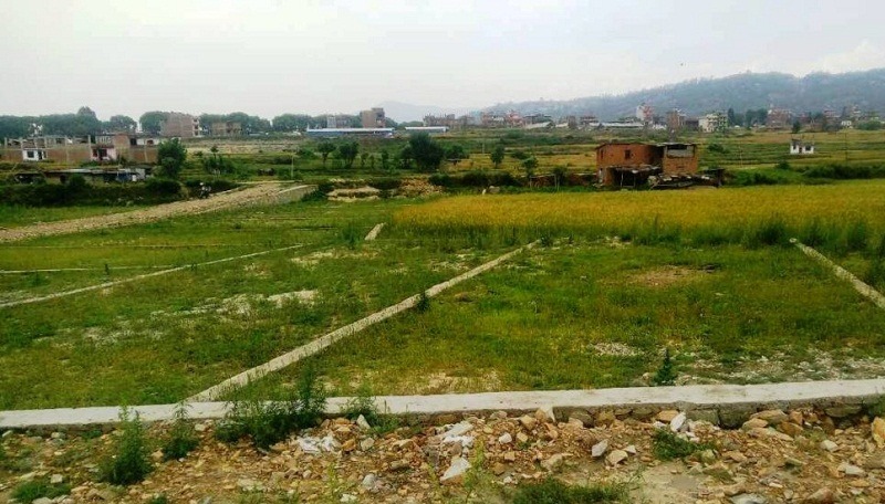 विद्यालय निर्माणका लागि २० कठ्ठा जग्गा दान