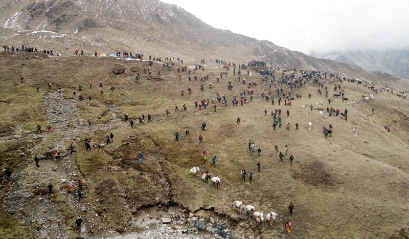 यार्सागुम्बा संकलनका क्रममा लडेर मृत्यु