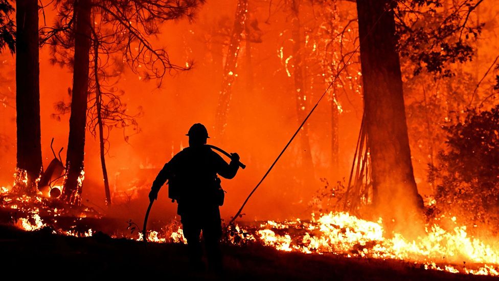 Thousands evacuated in southern France as ‘fierce’ wildfire spreads
