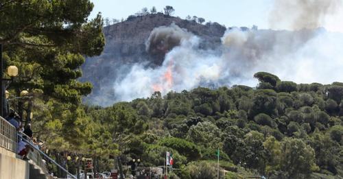 ‘Fierce’ wildfire near Saint-Tropez forces evacuations in France