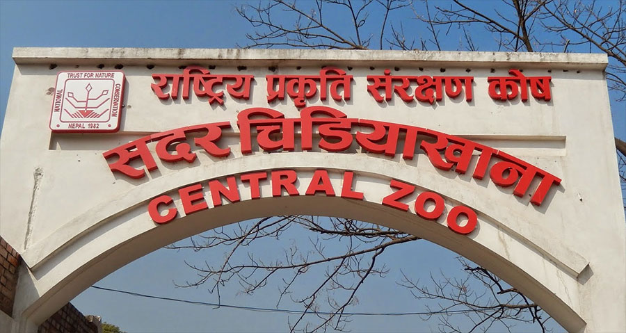 आधाले घट्यो ललितपुरको जावलाखेलस्थित चिडियाखानाको आम्दानी