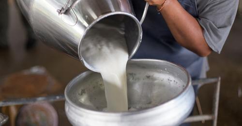 दूध बिक्रीमा किसानलाई ७९ लाख अनुदान वितरण