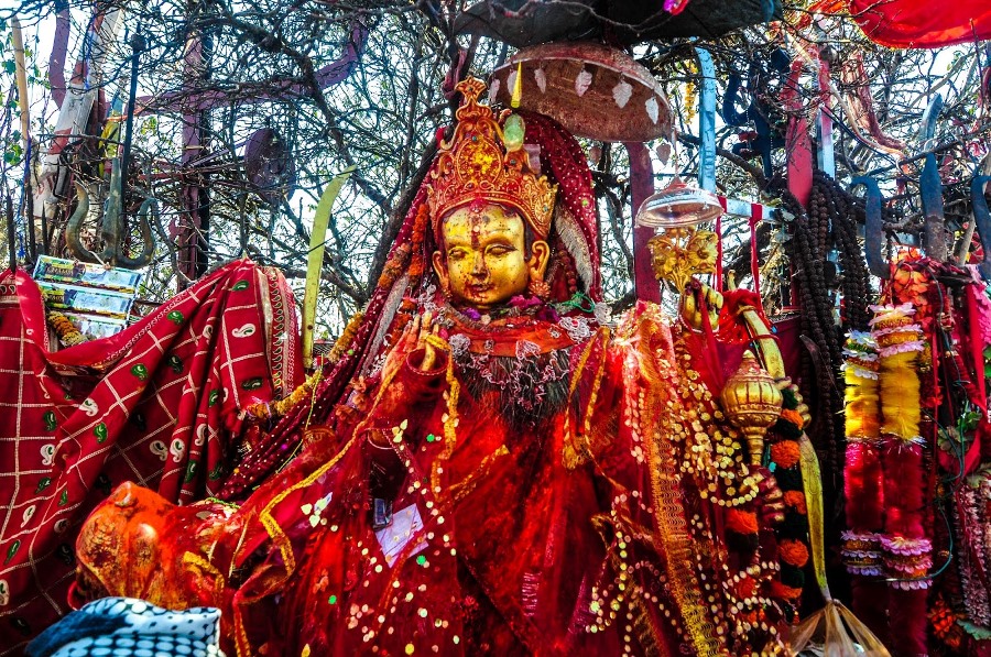 पाथीभरामा २० हजारभन्दा बढी भक्तजनले गरे पूजापाठ