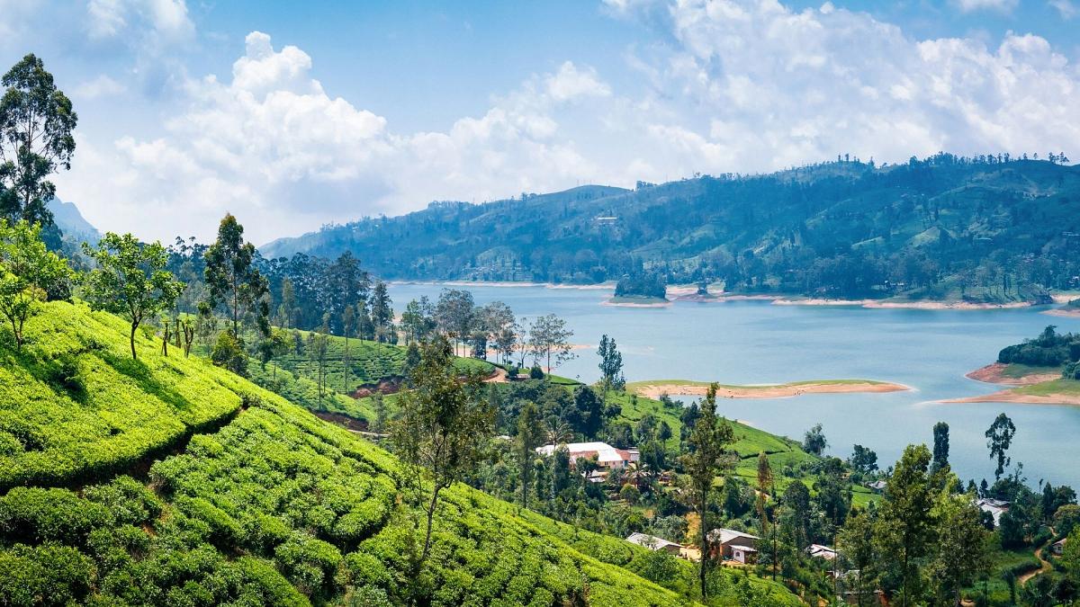 श्रीलंकामा यसवर्ष एक लाख पर्यटक पुगे