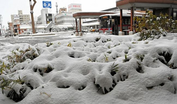 Heavy snow causes travel chaos in Japan