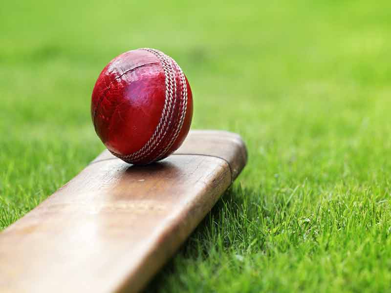 एशिया कप क्रिकेटका लागि खेलाडी छनोट