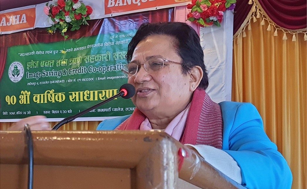 शेयरधनीलाई बोनस होइन, विद्युतीय चुल्हो बाडौँ : ऊर्जामन्त्री  भुसाल