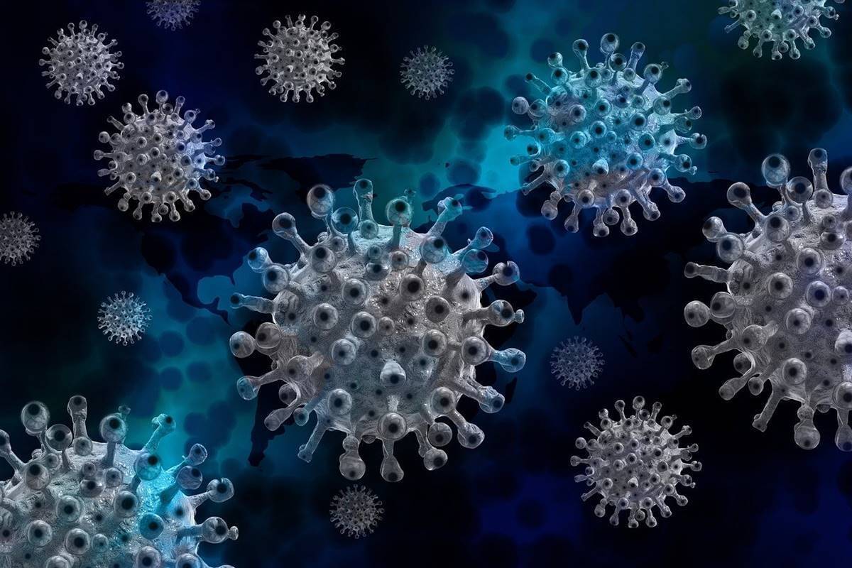 Omicron cases in India rise to 236, daily tally of COVID-19 infections reaches 7,495