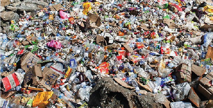 वाग्मती सफाइ महाअभियान : १० मेट्रिक टन फोहर व्यवस्थापन