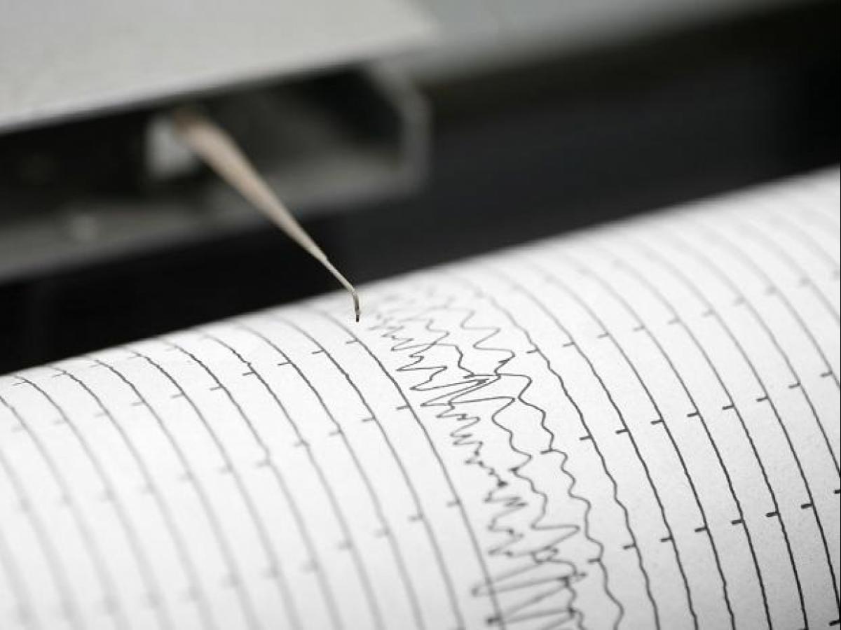 Magnitude 6 earthquake strikes off Alaska coast