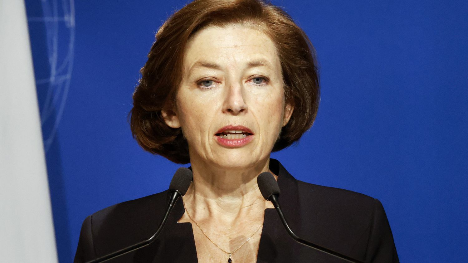 Ready to provide additional Rafale aircraft to India: French Defence Minister