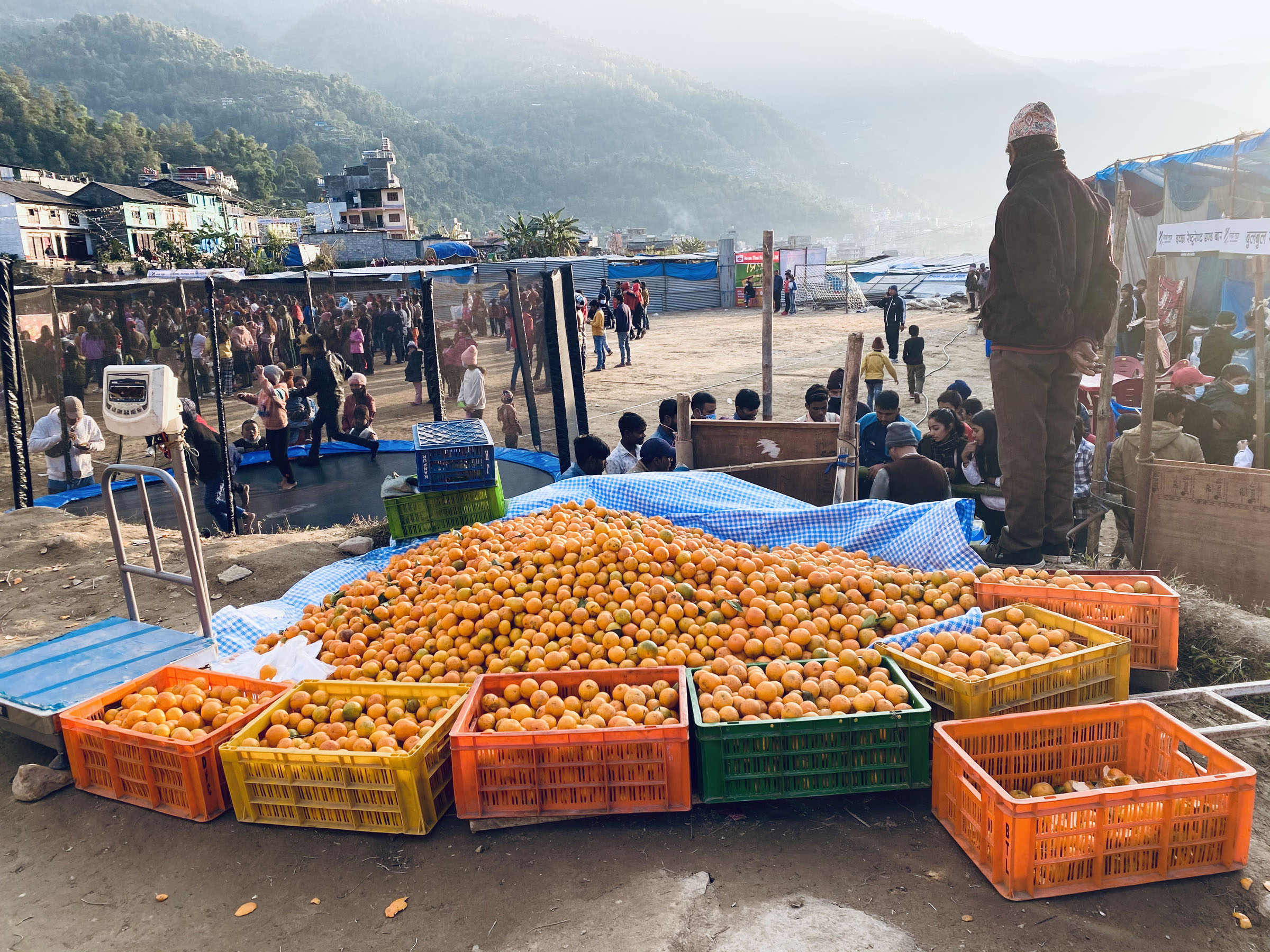 सुन्तला किसानलाई क्यारेड र डिजिटल तराजु वितरण
