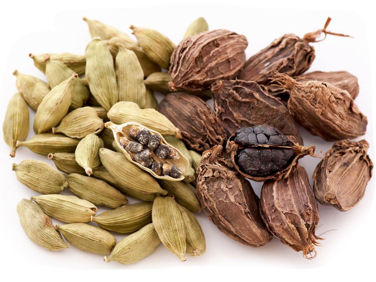 अलैँची उत्पादनमा वृद्धिः किसानले भने पाएनन् उचित मूल्य