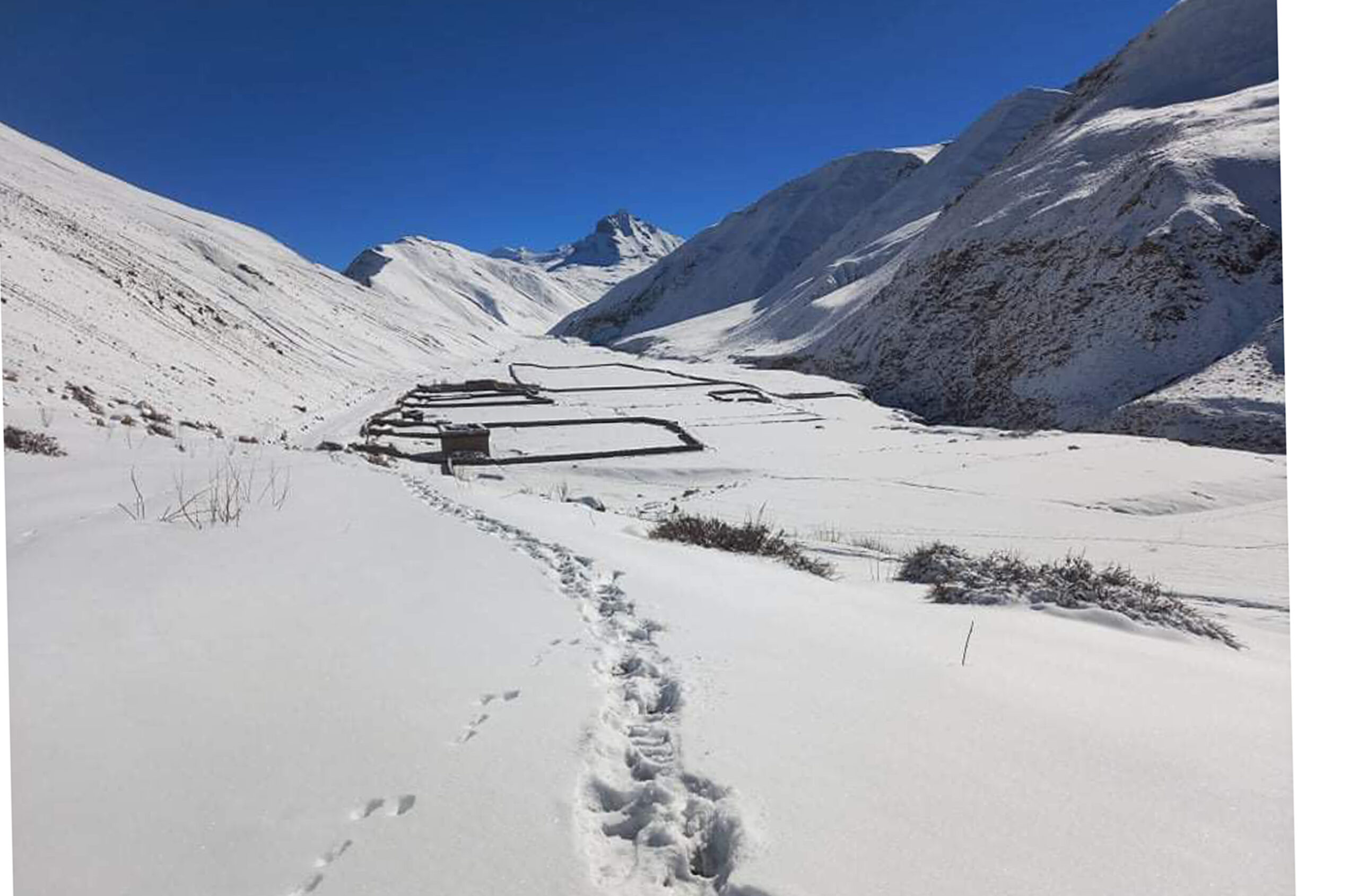 हिउँमा फसेका ३४ जना घर फर्किए