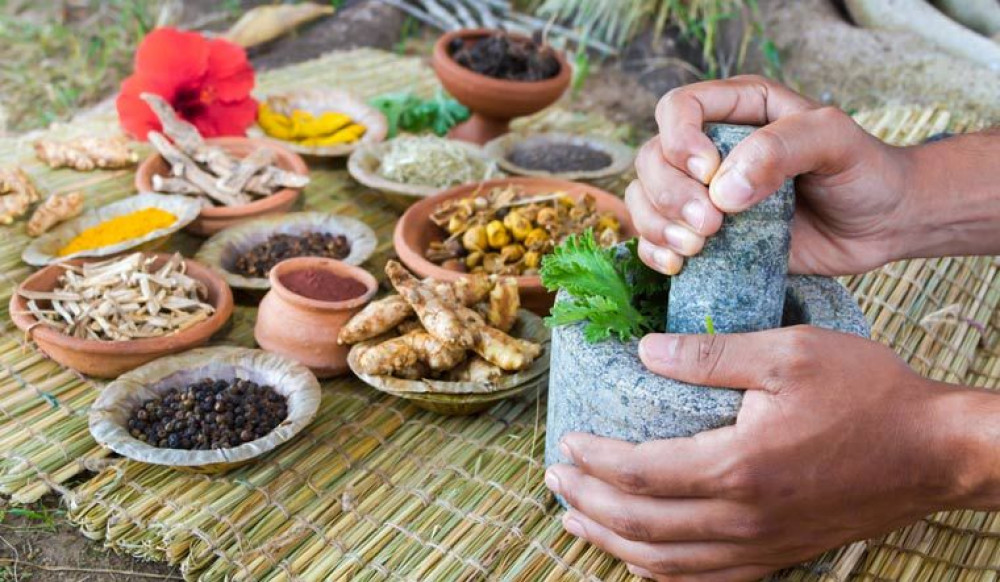 धौलागिरि आयुर्वेद प्रदेशकै उत्कृष्ट
