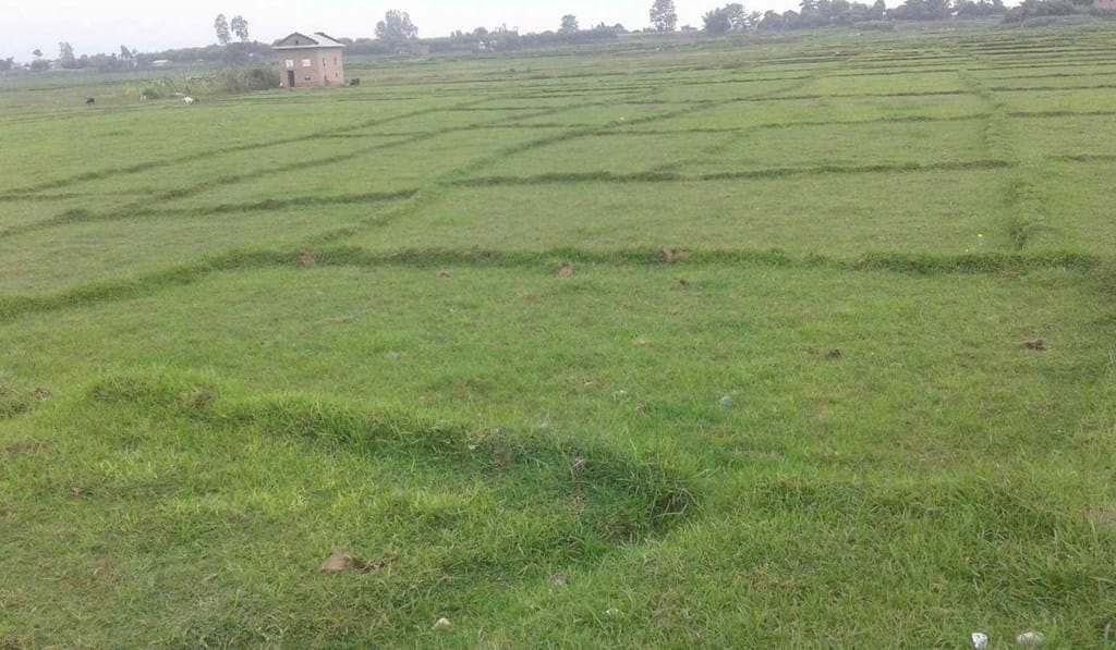 चितवनमा आजदेखि सुकुम्बासीको जग्गा नापिने