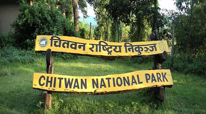 निकुञ्जमा नमूना घाँसे मैदान बनाउने तयारी