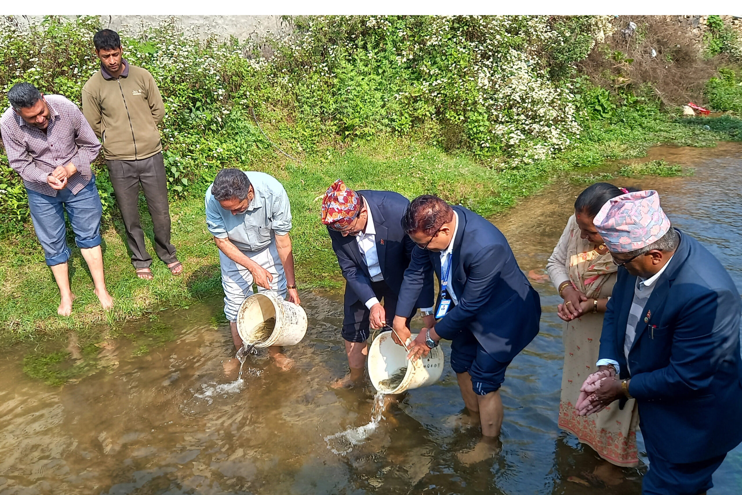 लिलावती खोलामा पाँच हजार माछाका भुरा छाडियो