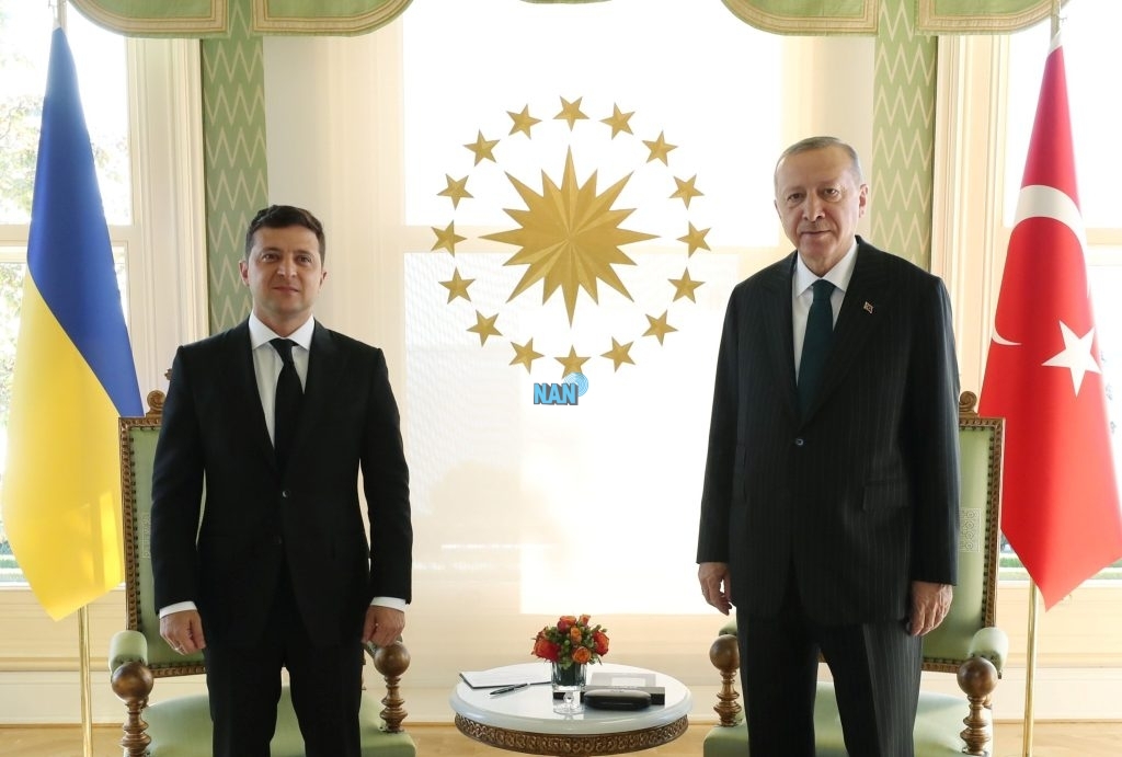 Zelensky, Erdogan agree on need to restore peace in Ukraine