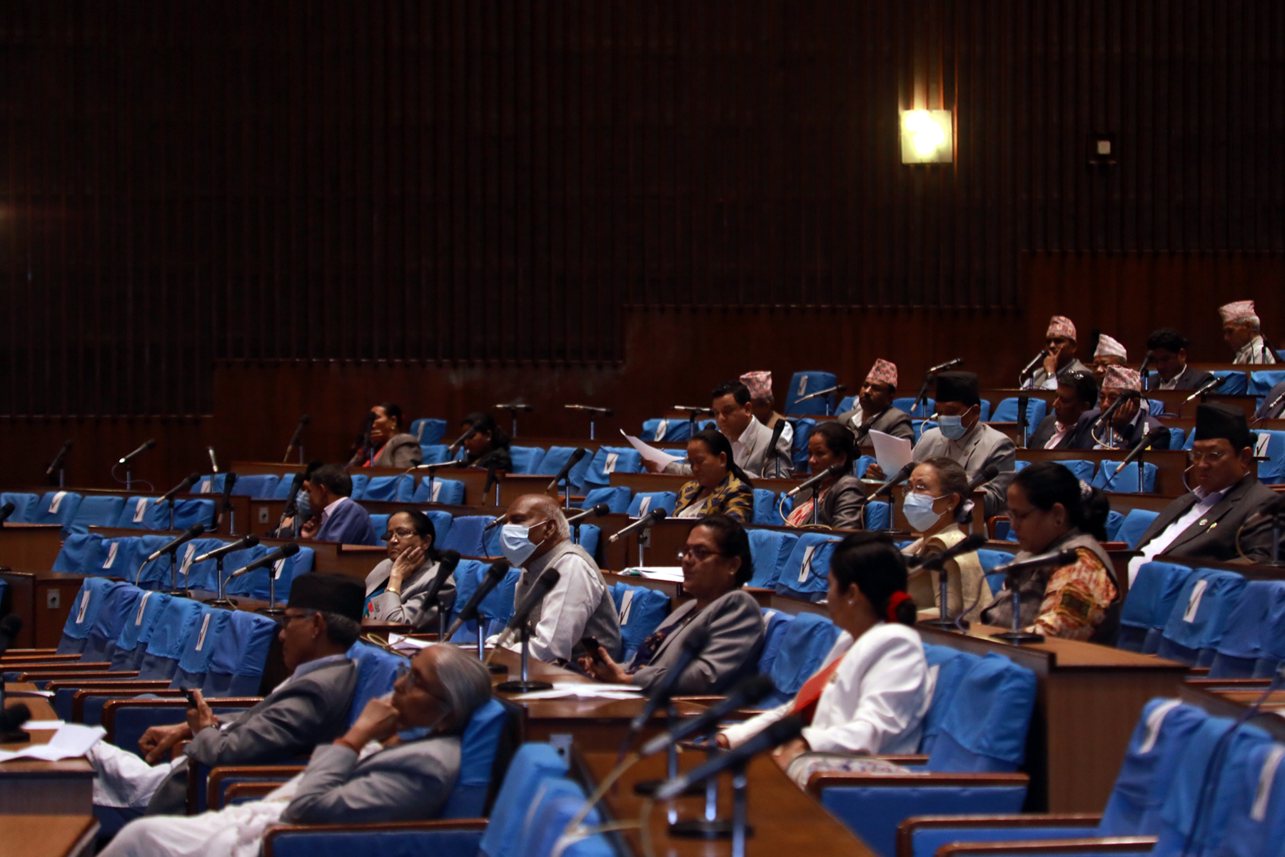 किसानलाई रासायनिक मल उपलब्ध गराउन सरकारलाई संसद्को विशेष निर्देशन