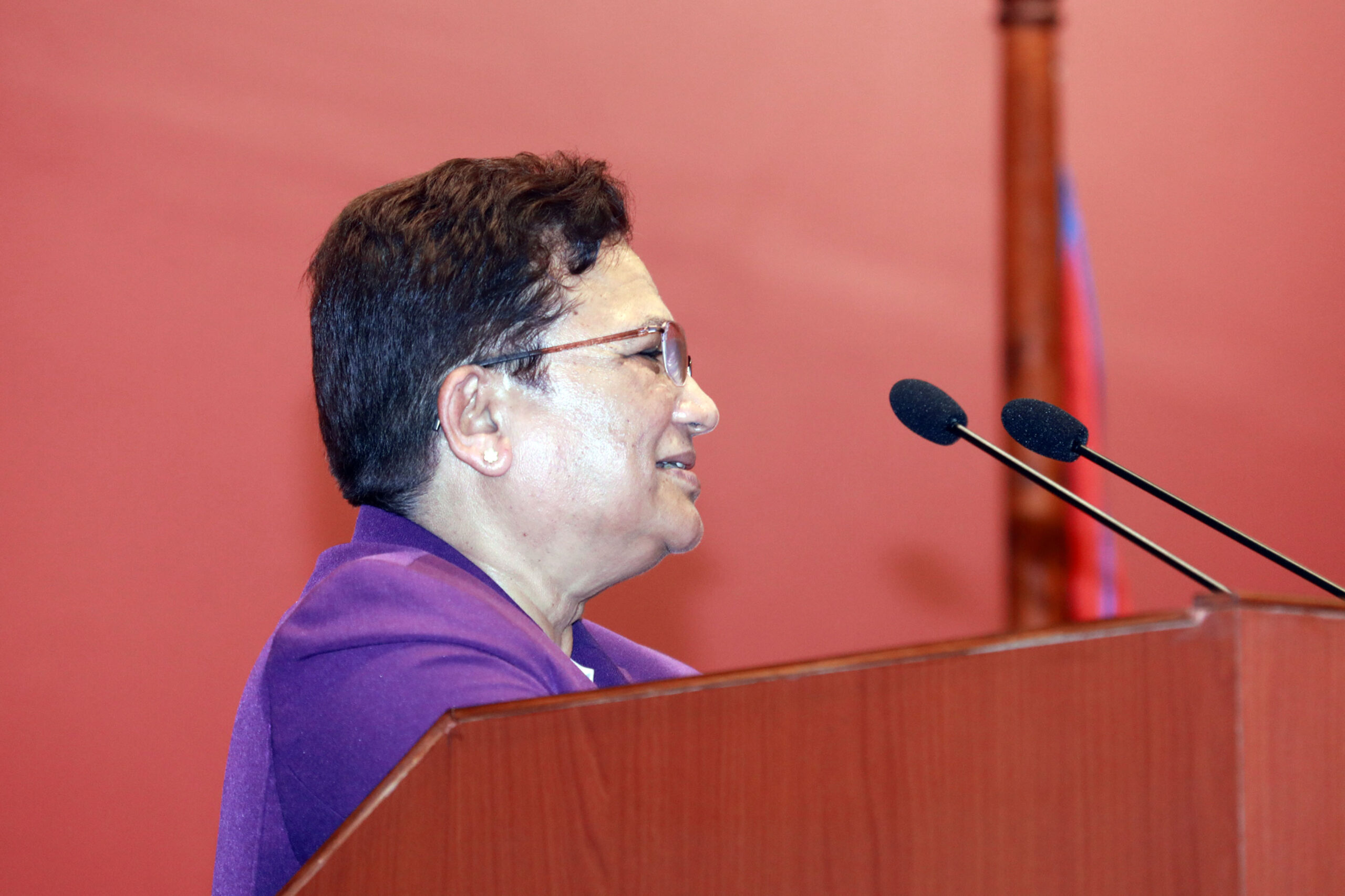 ‘विदेशी ग्यास छाडौँ स्वदेशी विद्युत् जोडौँ’ अभियानलाई थप प्रवद्र्धन गर्ने सरकारको तयारी