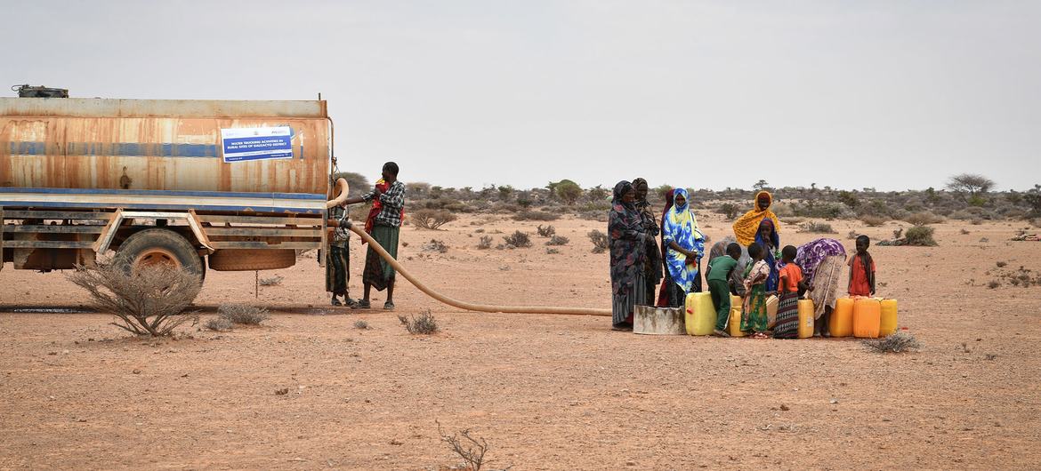 UN warns of increased risk of famine in Somalia amid acute food insecurity