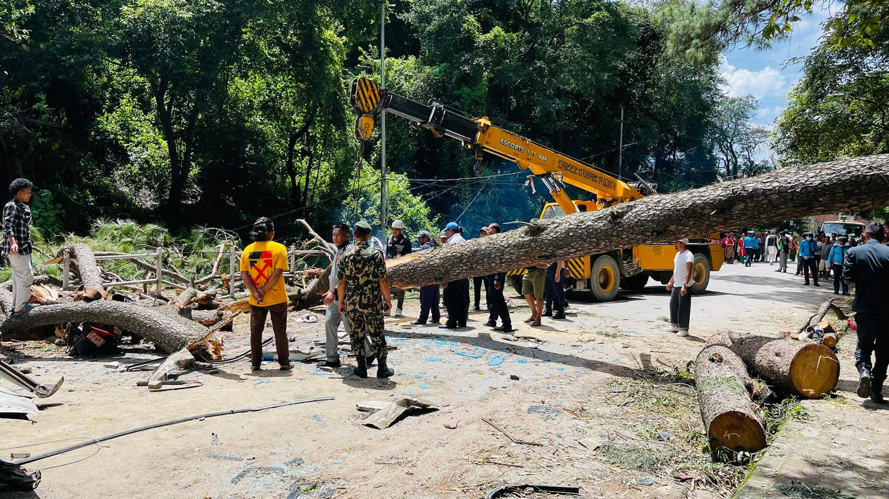 सल्लाघारीका २१ रूख काटिए, समितिको खर्चमा घाइतेको उपचार जारी
