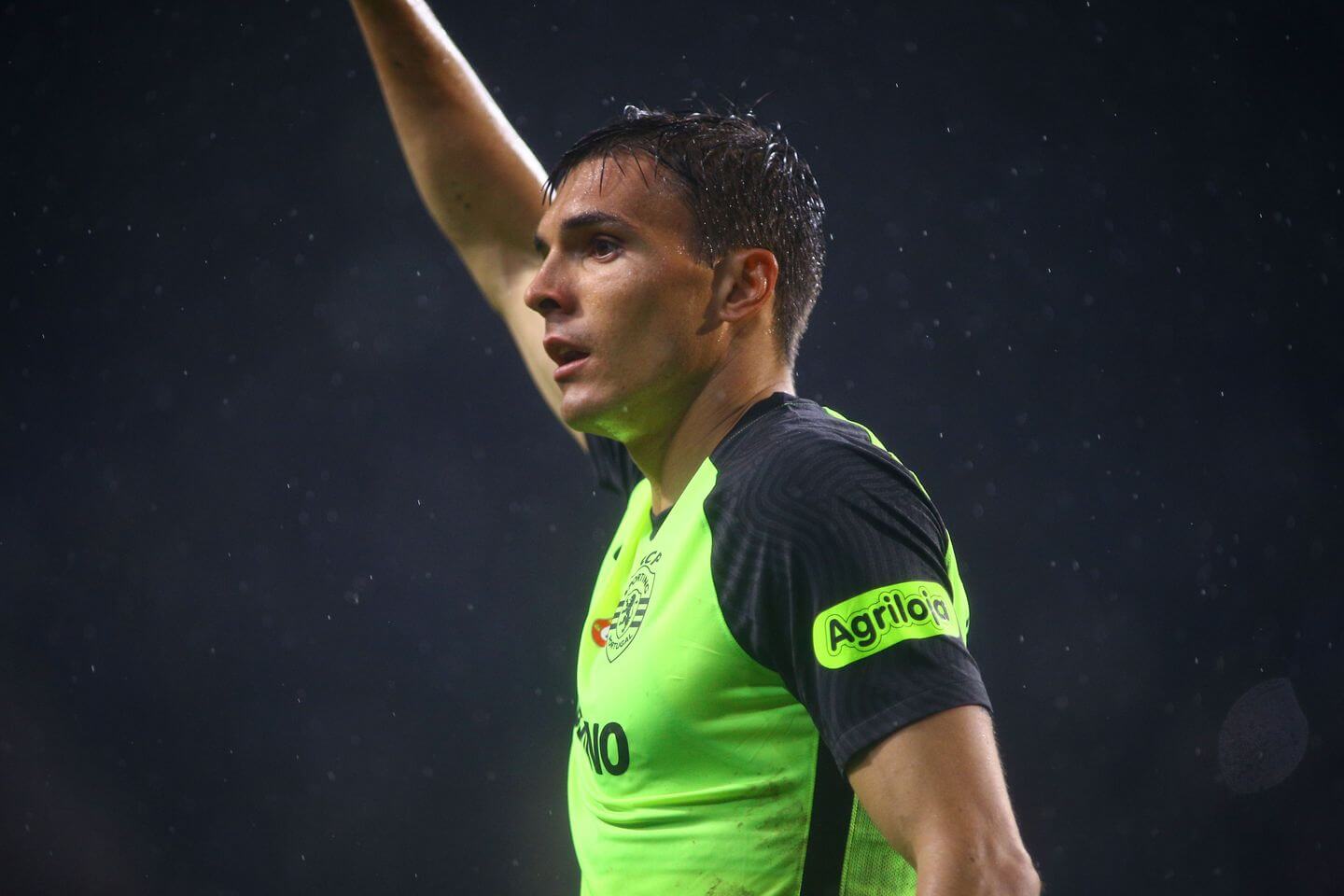 Fulham sign Palhinha from Sporting Lisbon