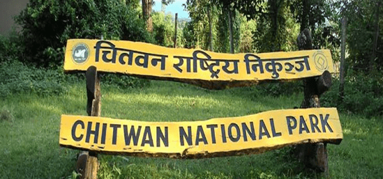 दुई लाखले गरे चितवन निकुञ्जको भ्रमण