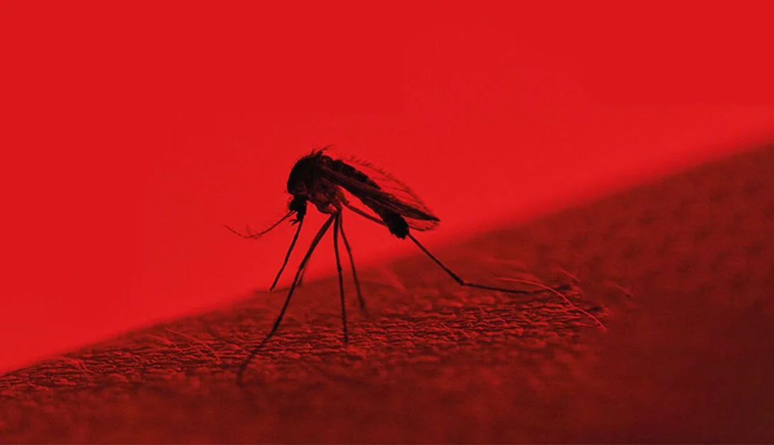 Over 6,000 infected with dengue fever in Laos in 6 months