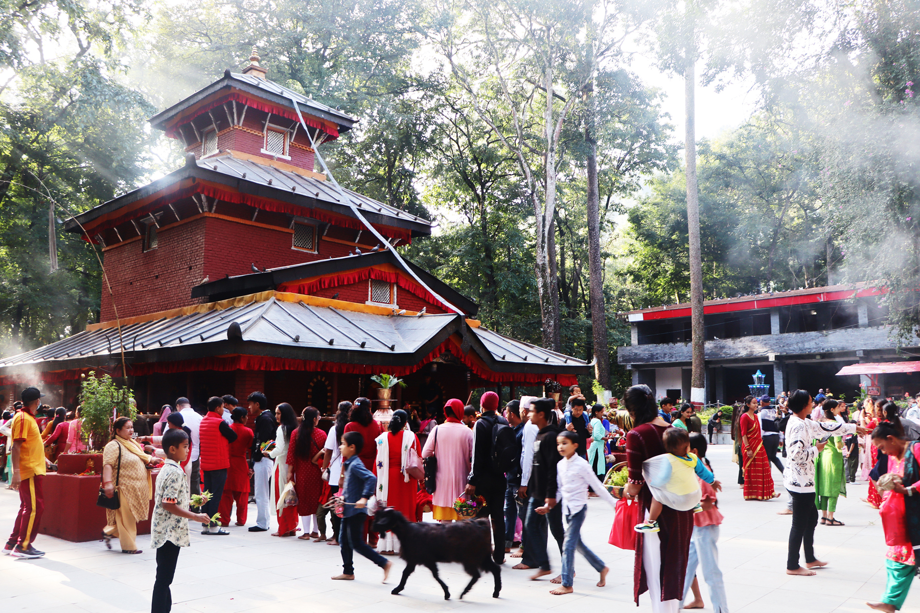 देशभरका शक्तिपीठ एवं देवी मन्दिरमा भक्तजनको लर्को