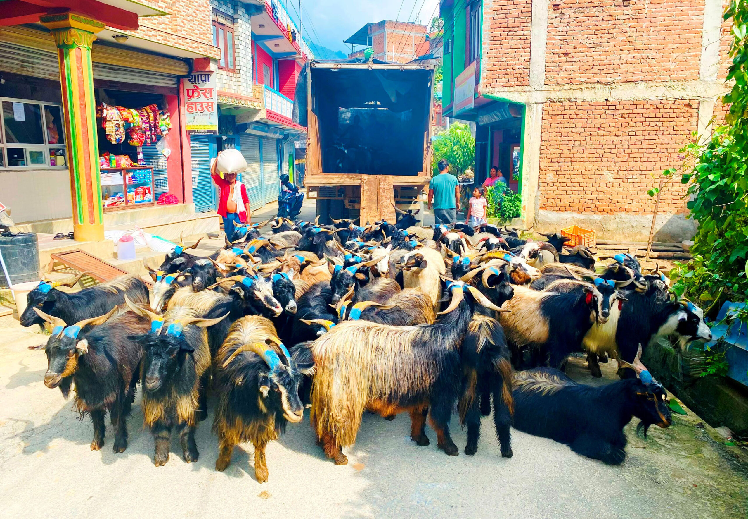 नाका नखुल्दा तिब्बतको च्याङ्ग्रा भित्रिन सकेन