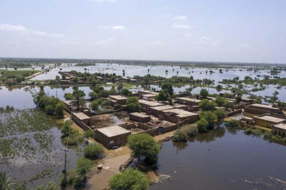 Floods in Pakistan cause economic loss to the tune of USD 12.5 billion