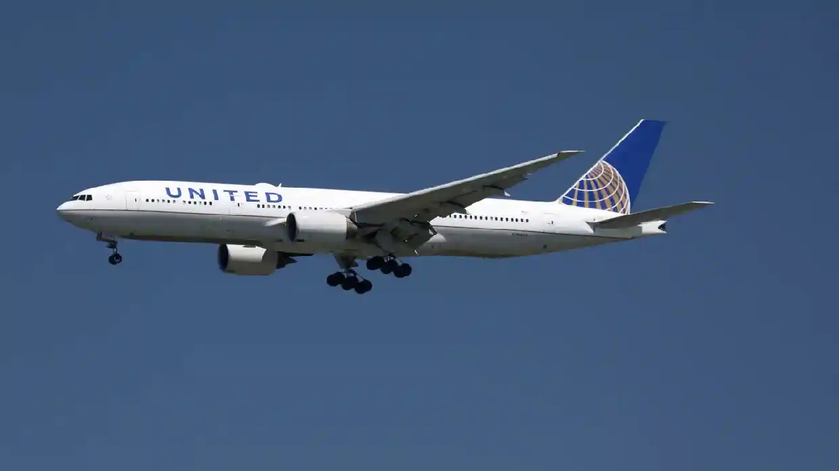 Snake on United flight sends passengers into panic