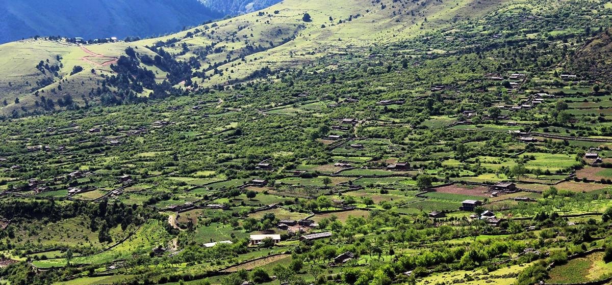 बागलुङको निसेलढोर : उम्मेदवार अझै भोट माग्न पुगेका छैनन्