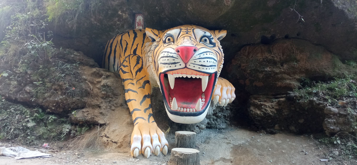 पर्यटक लोभ्याउँदै बाघको मूर्ति