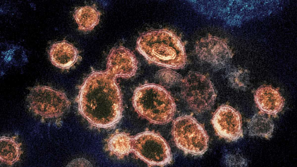 Coronavirus origins still a mystery 3 years into pandemic