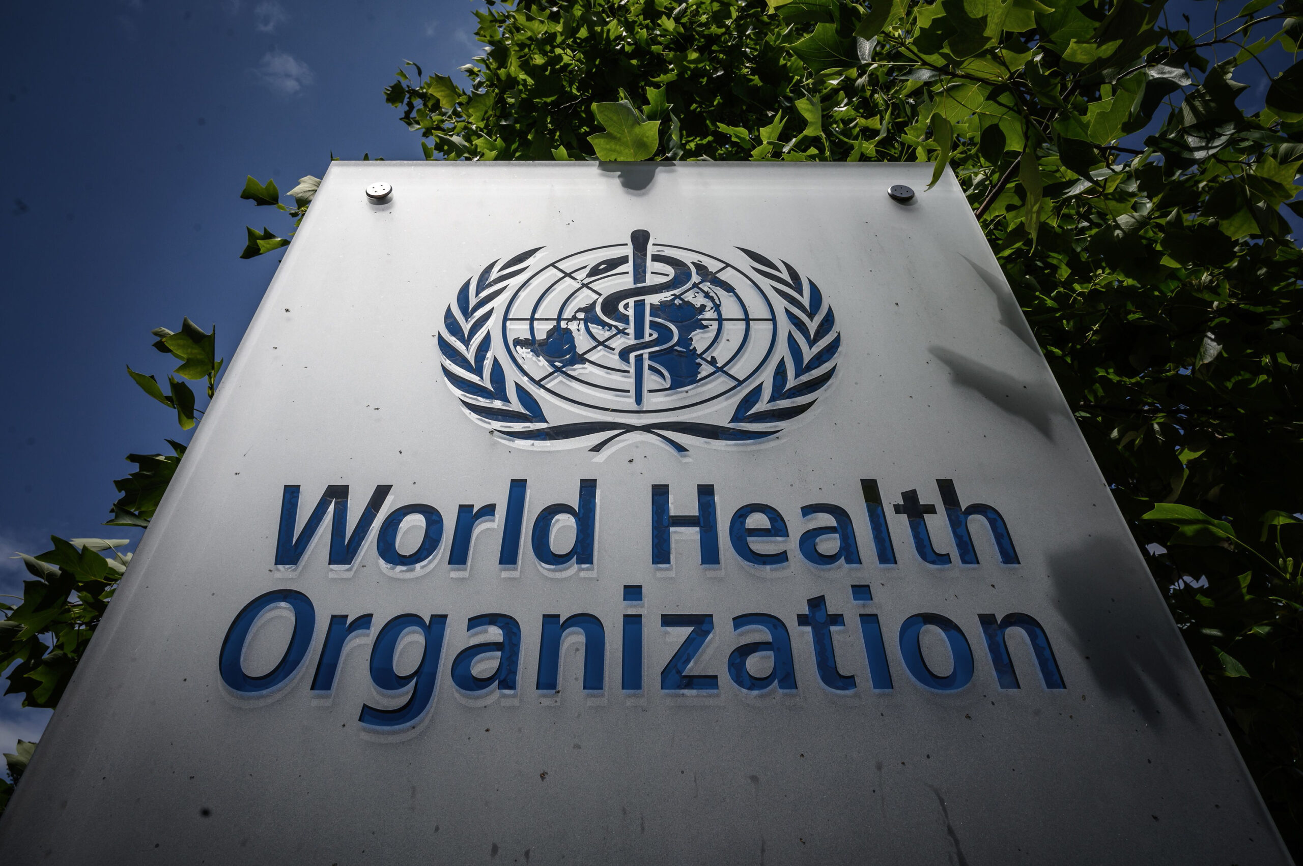 Cholera kills over 1,200 in Malawi: WHO