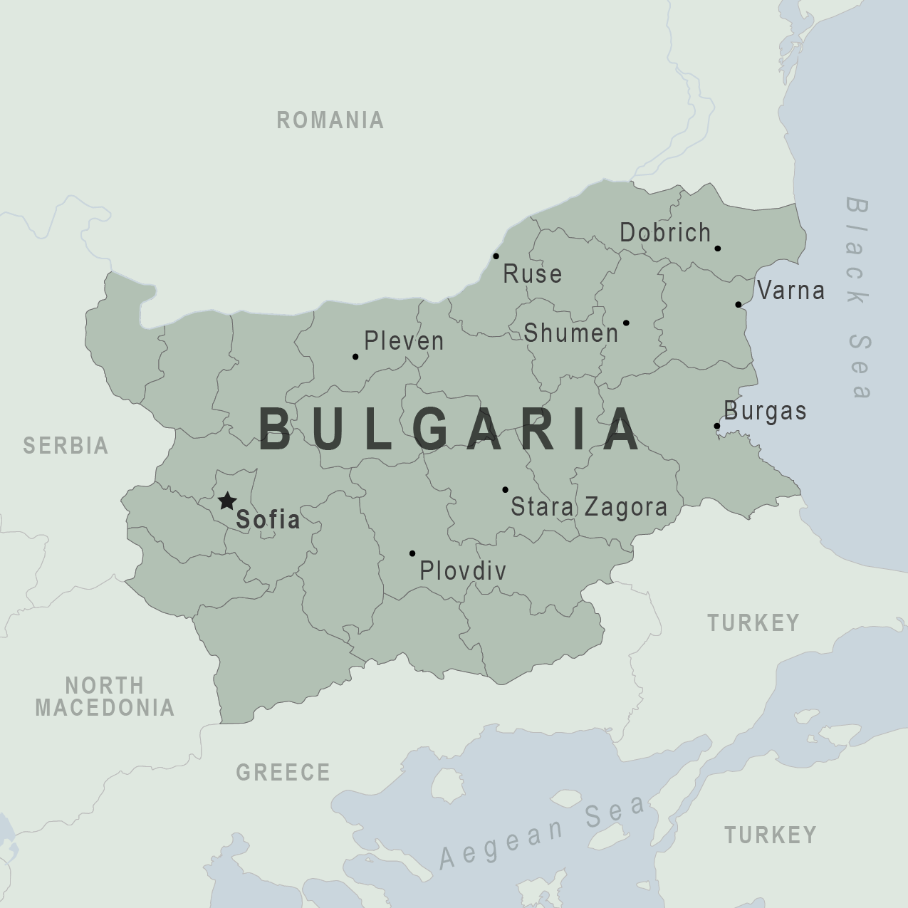 Divided over Ukraine, Bulgaria votes for fifth time in two years