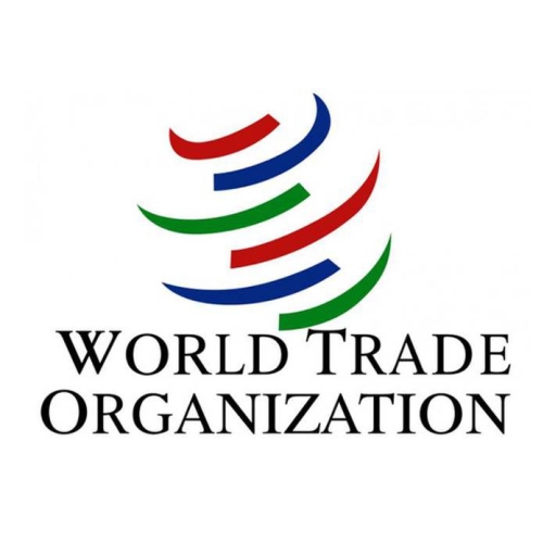 WTO must contribute solutions to global economic challenges: DG