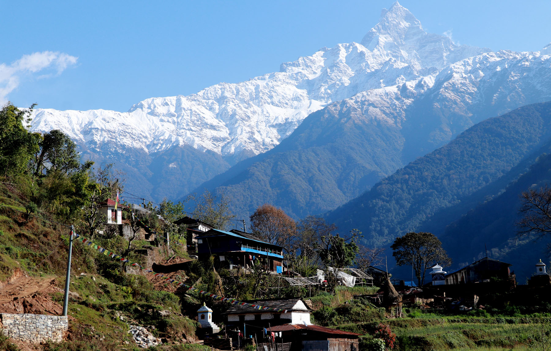 पोखरामा नववर्ष महोत्सव हुने