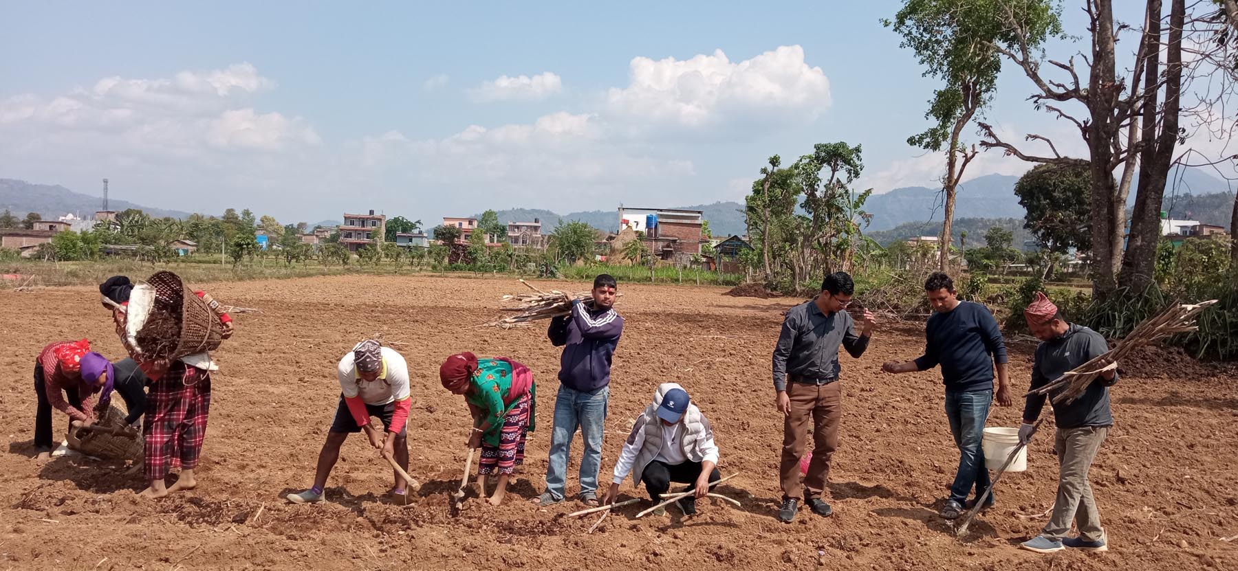 उखुखेती प्रवर्द्धन गर्दै रामपुरका युवा