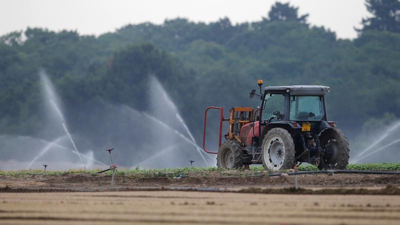 Vietnam promotes sustainable agriculture to reduce deforestation