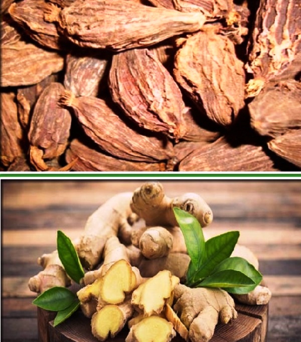 अदुवा, अलैँची र प्लाइउडको निर्यात बढ्यो