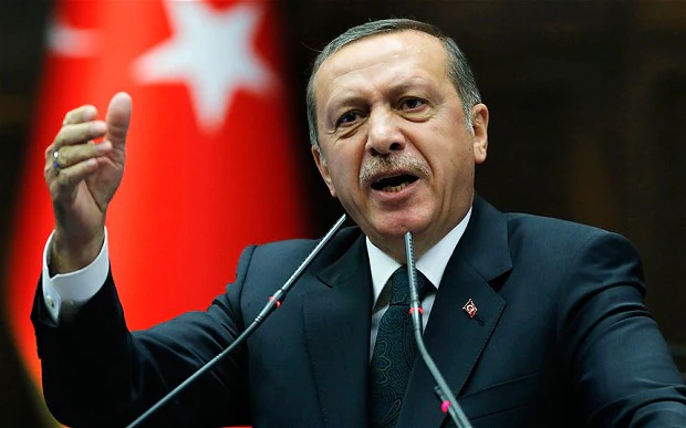Erdogan wins Turkey’s presidential election
