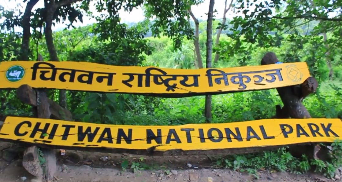 चितवन राष्ट्रिय निकुञ्ज : हालसम्मकै धेरै पर्यटक भित्रिए