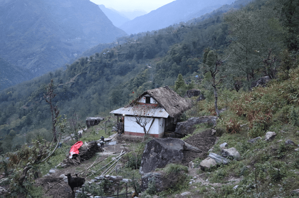 हावाहुरीसँगै वर्षा हुन थालेपछि…